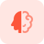 brain (1) brain (1)